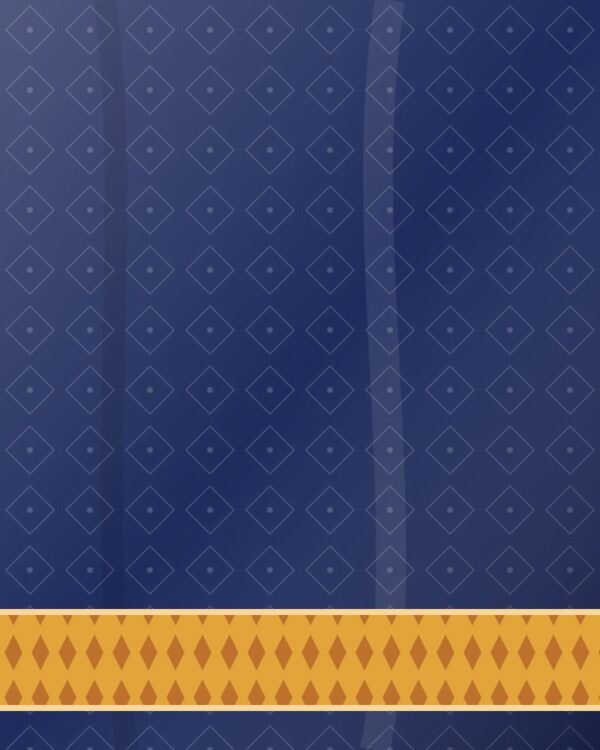 Navy Daily Wear Cotton Suit